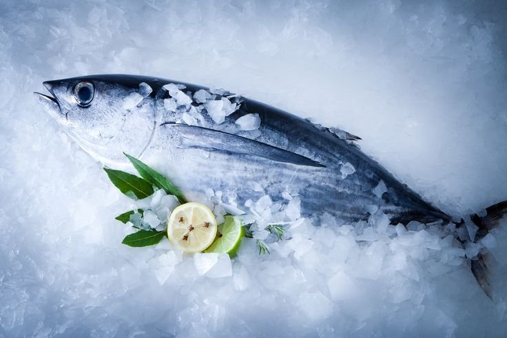 Manfaat Ikan Kembung untuk Kesehatan Sumber Protein dan Omega-3 yang Baik