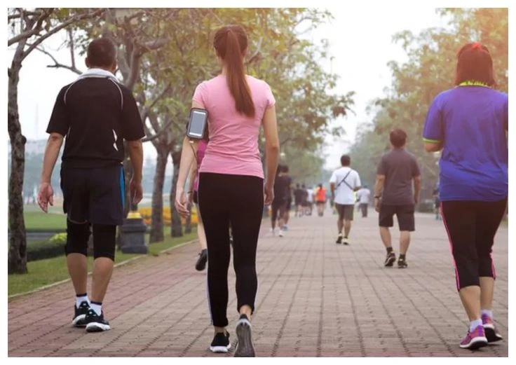 Walking Every Day: A Simple, Proven Way to Lose Weight and Change Your Life