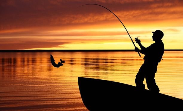 Fishing Tutorial to Overcome College Deadline Anxiety